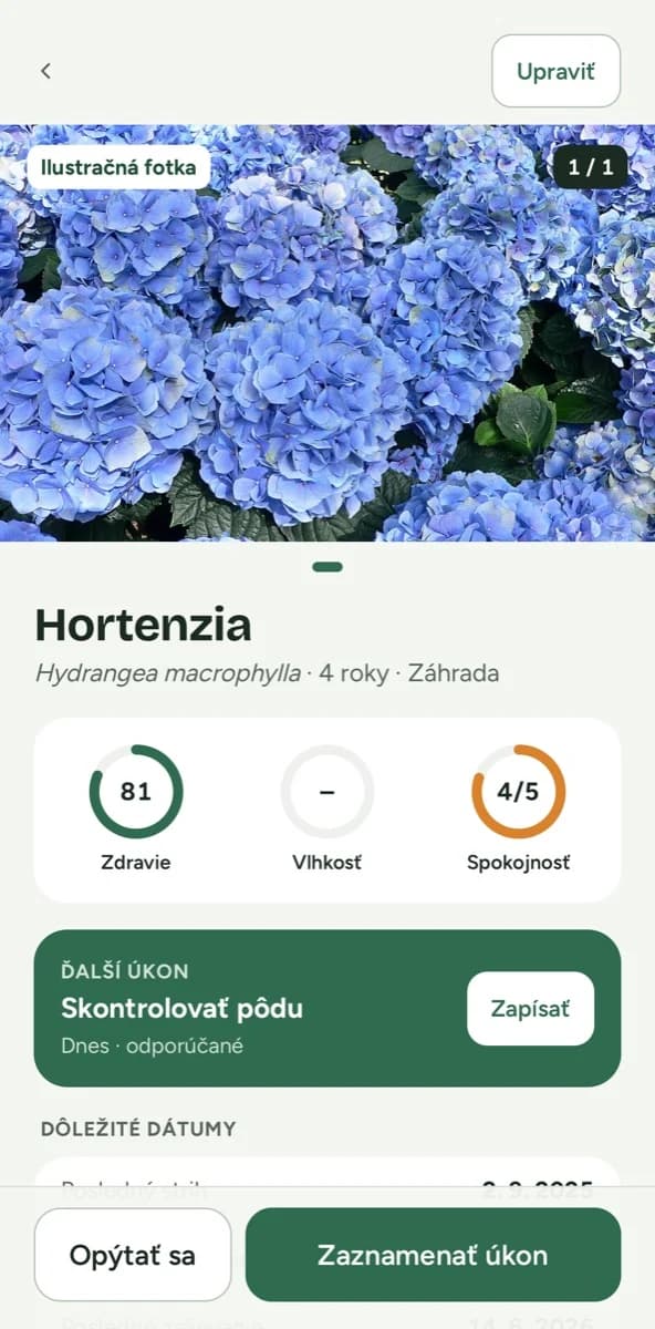 Detail hortenzie ve webové aplikaci Flori.
